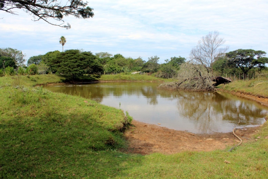 Commercial Property for Sale in Kei Mouth Eastern Cape